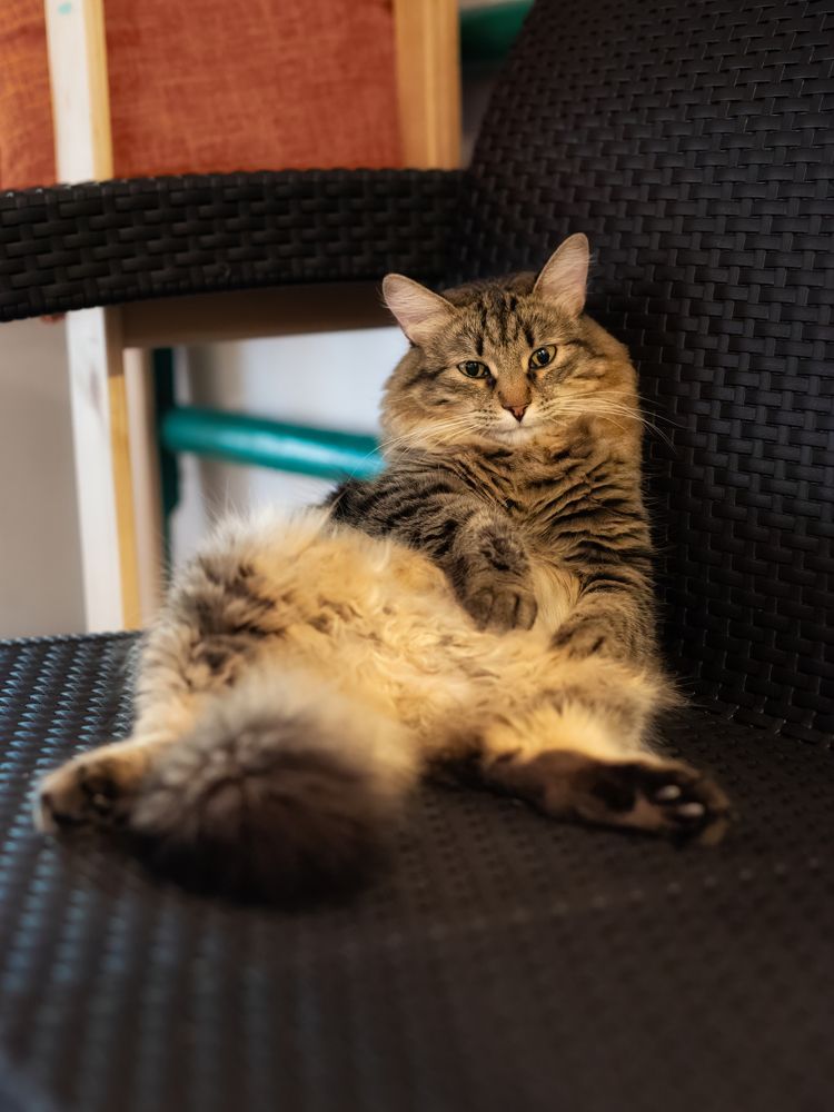 Photograph by Дудников Александр