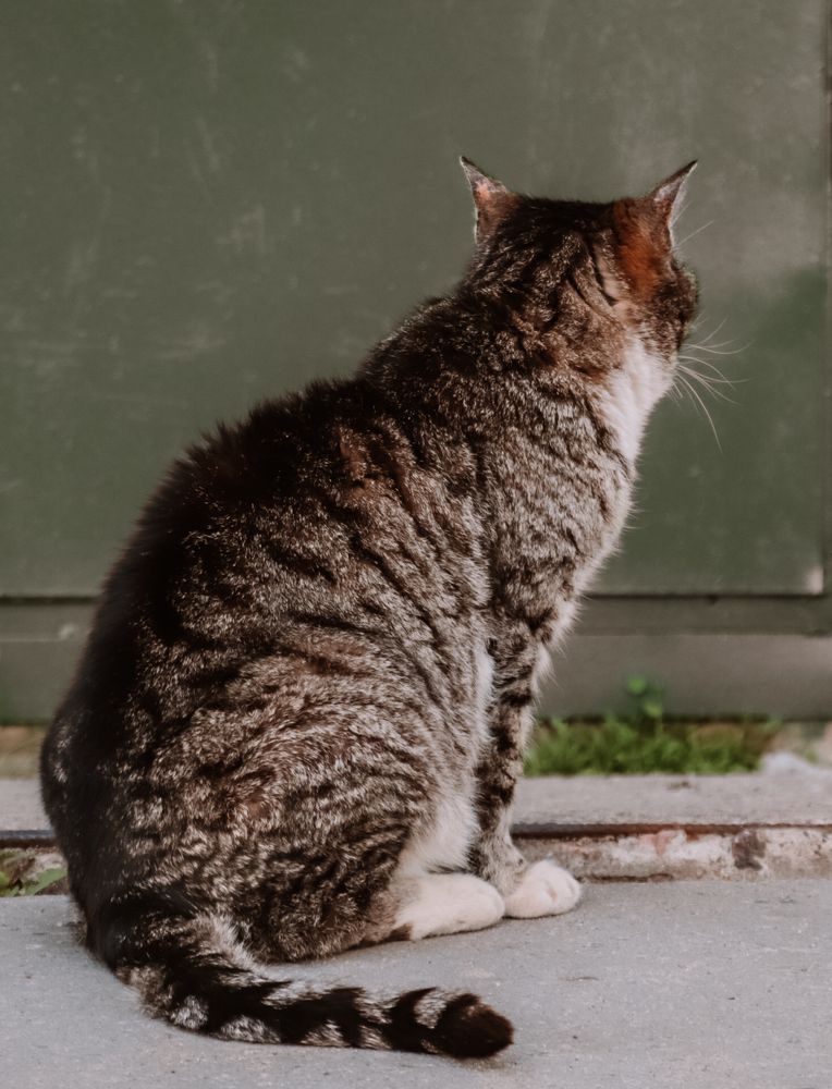 Photograph by Екатерина Михеева