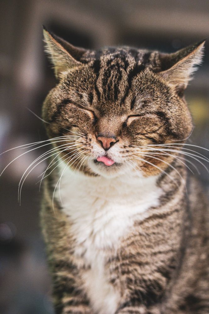 Photograph by Екатерина Михеева