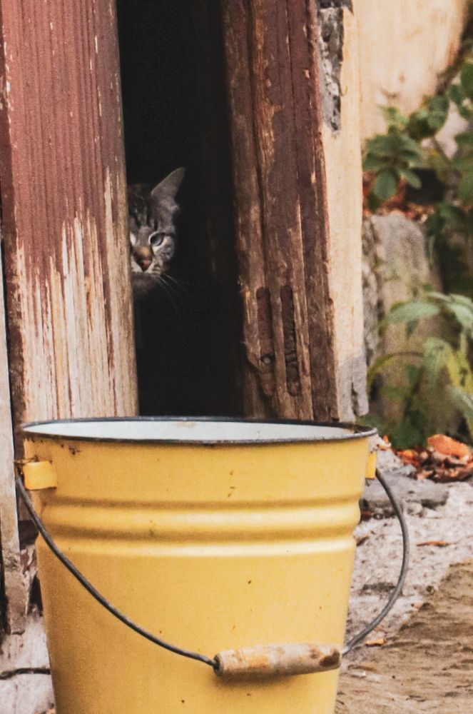 Photograph by Екатерина Михеева