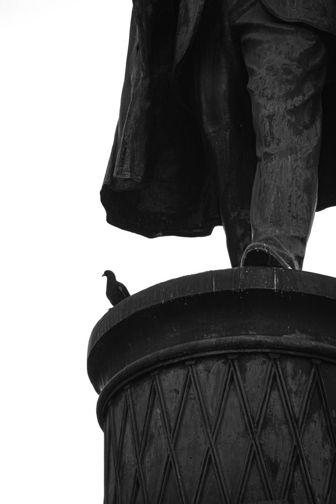 Photograph by Елена