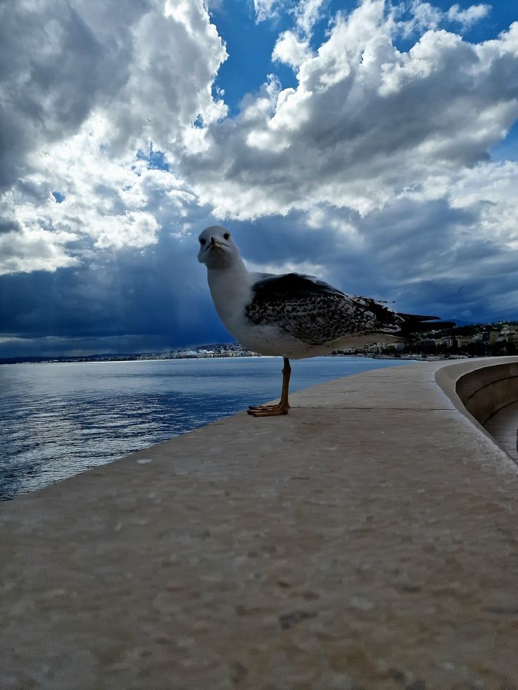 Фотография автора Maryna Pytliak