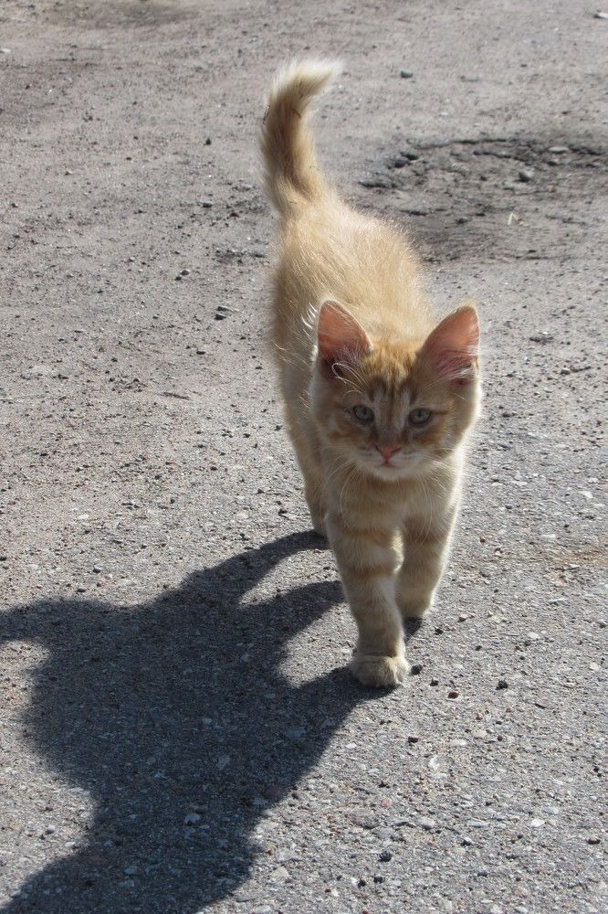 Photograph by Ирина Шведчикова