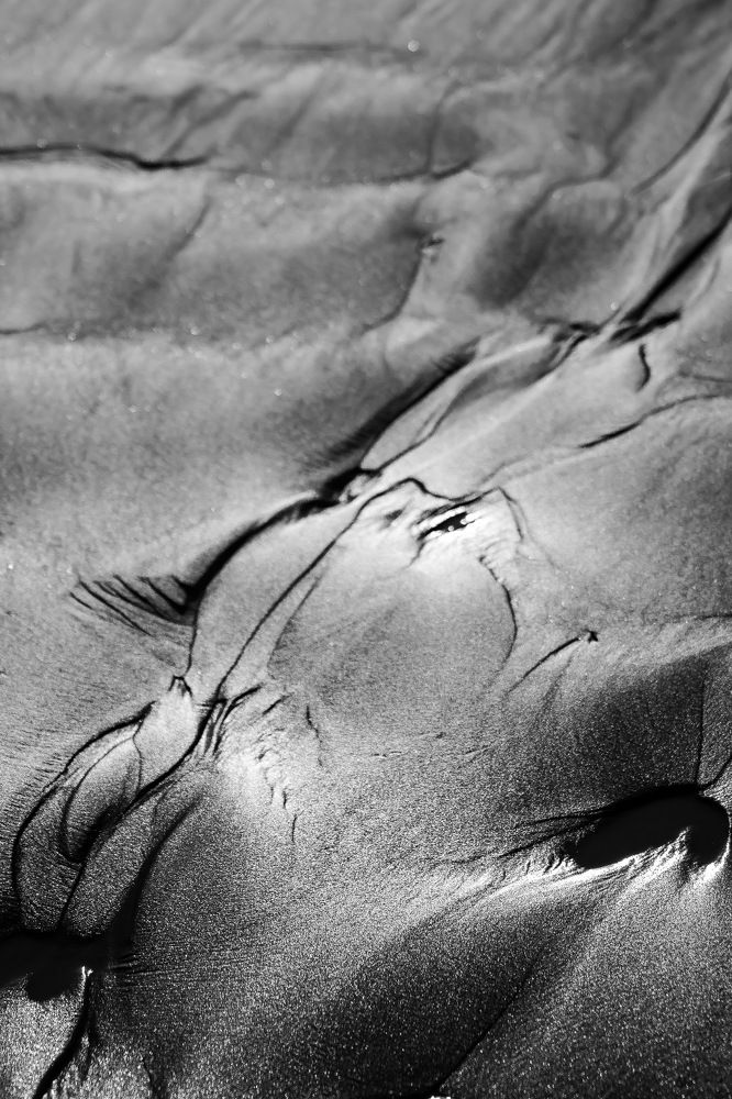 Photograph by Carlos Vazquez