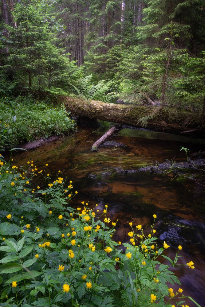 Photograph by Евгений Волосков