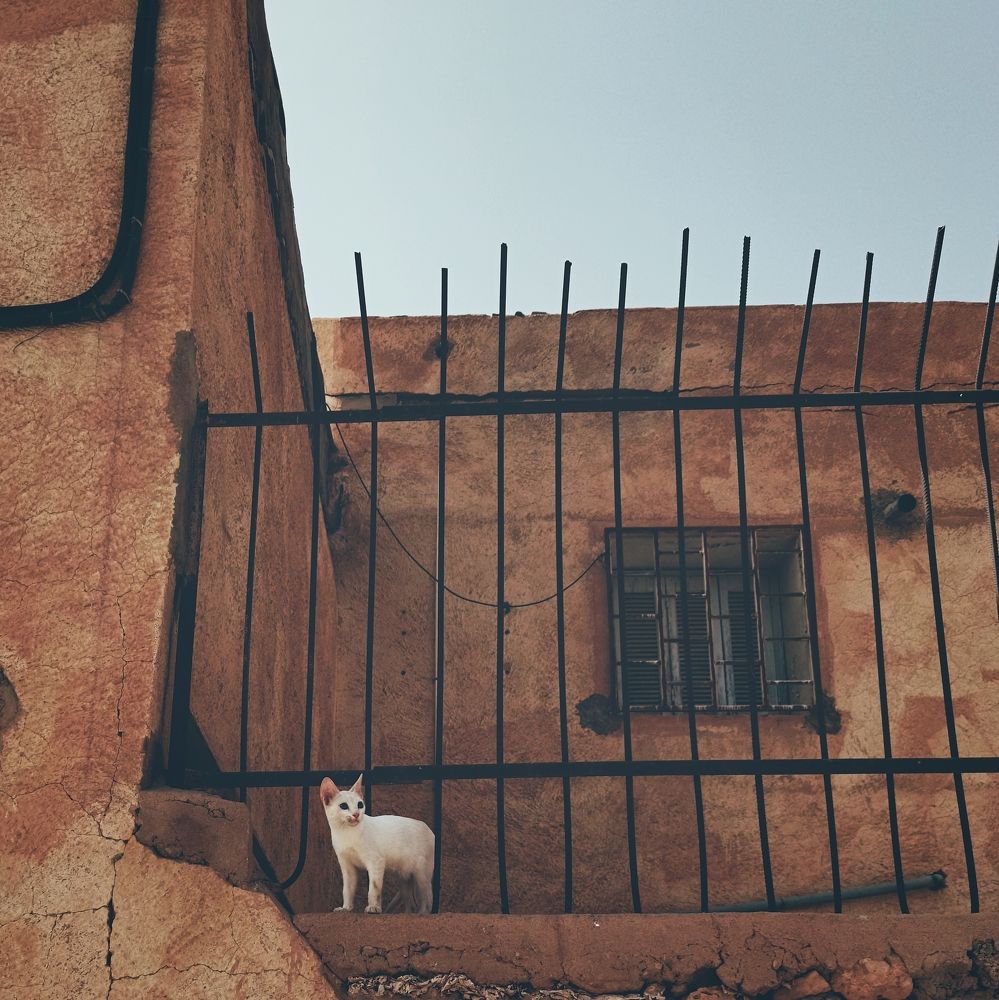 Фотография автора Fethi South Sider