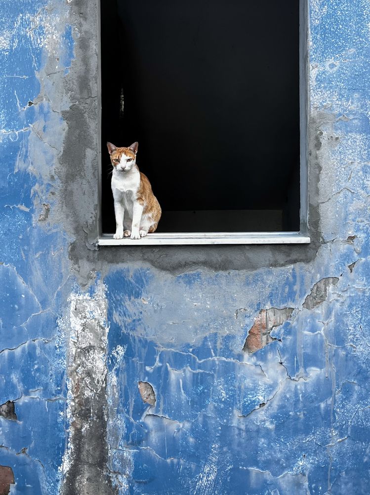 Photograph by Márcio Garcia