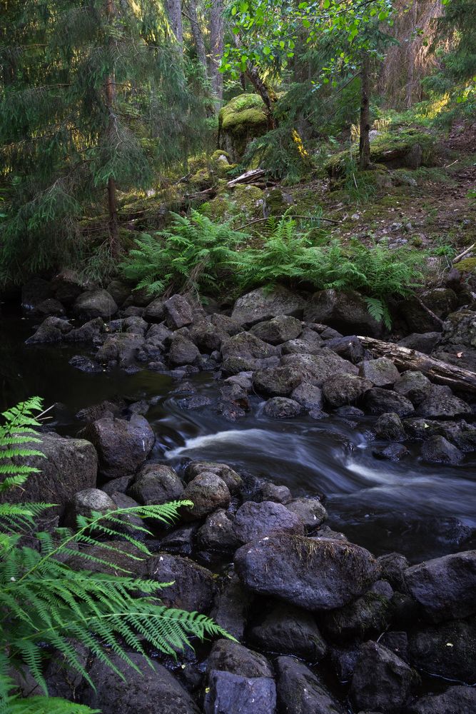 Photograph by Евгений Волосков