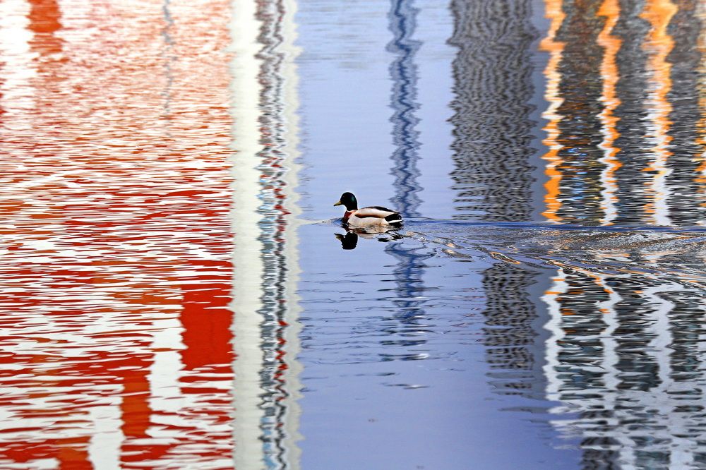 Photograph by Бибичков Михаил