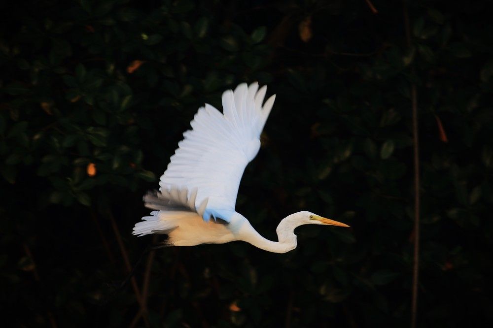 Photograph by Marie G