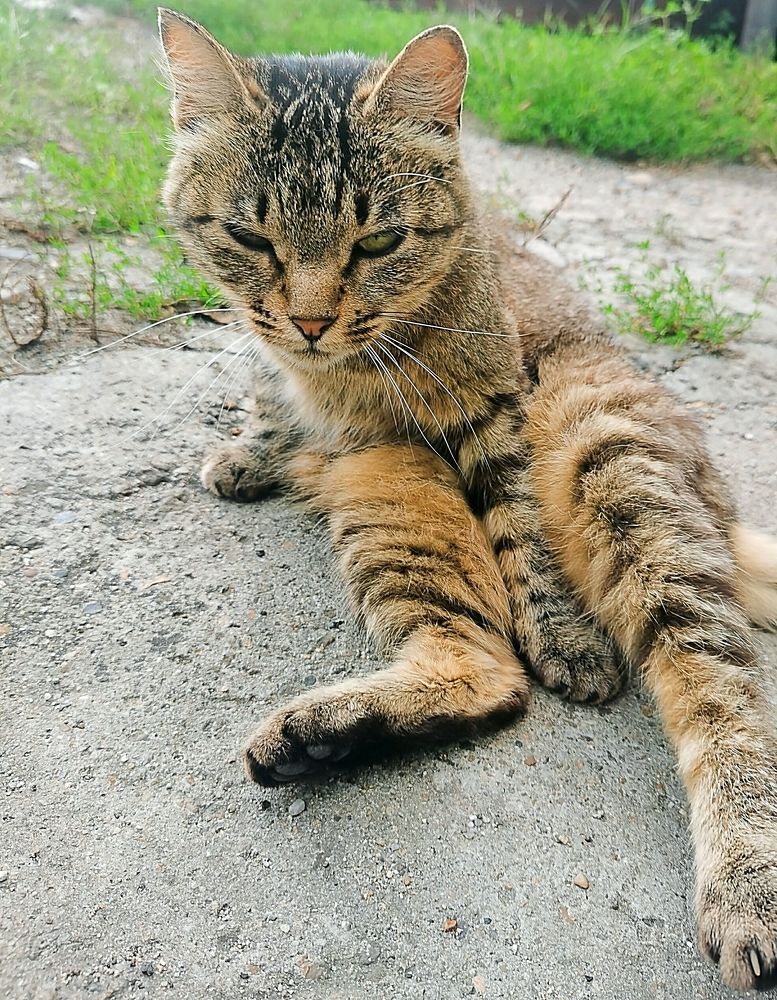 Photograph by НаталиЯ К