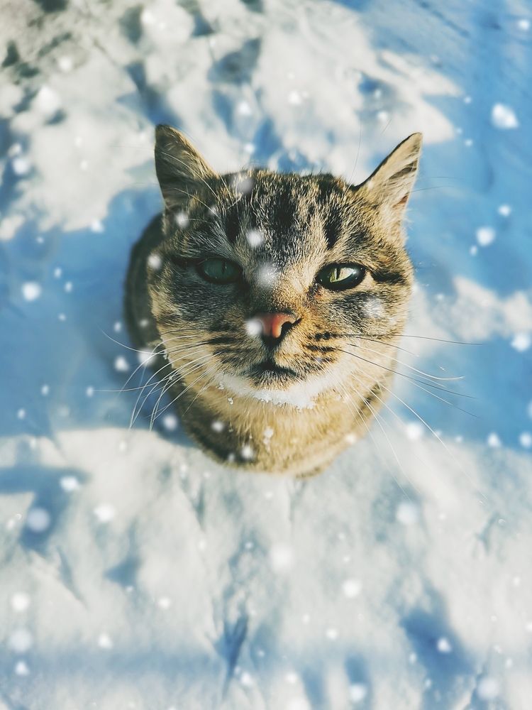 Photograph by НаталиЯ К