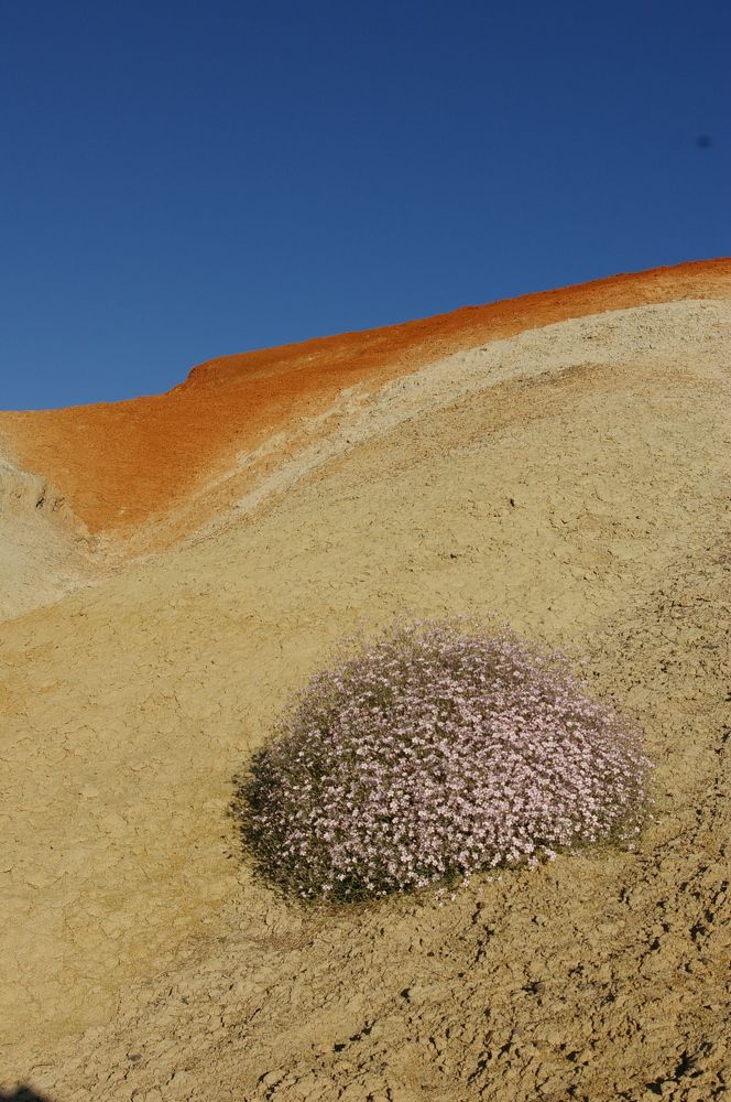 Photograph by Елена Алешкевич