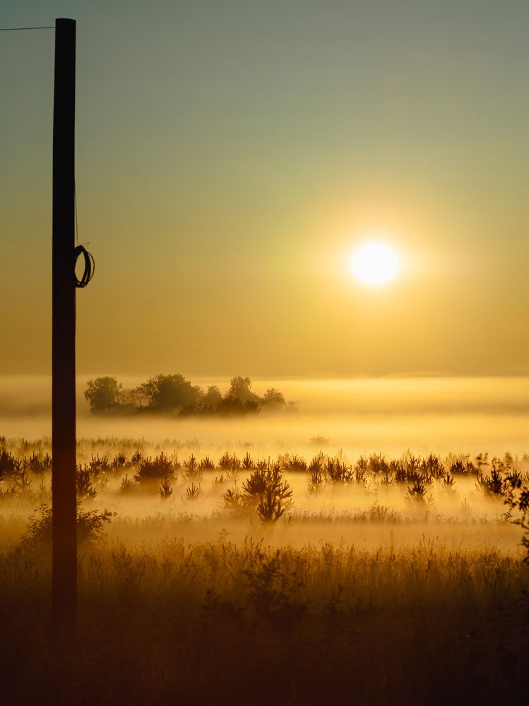 Photograph by Олег Бережных