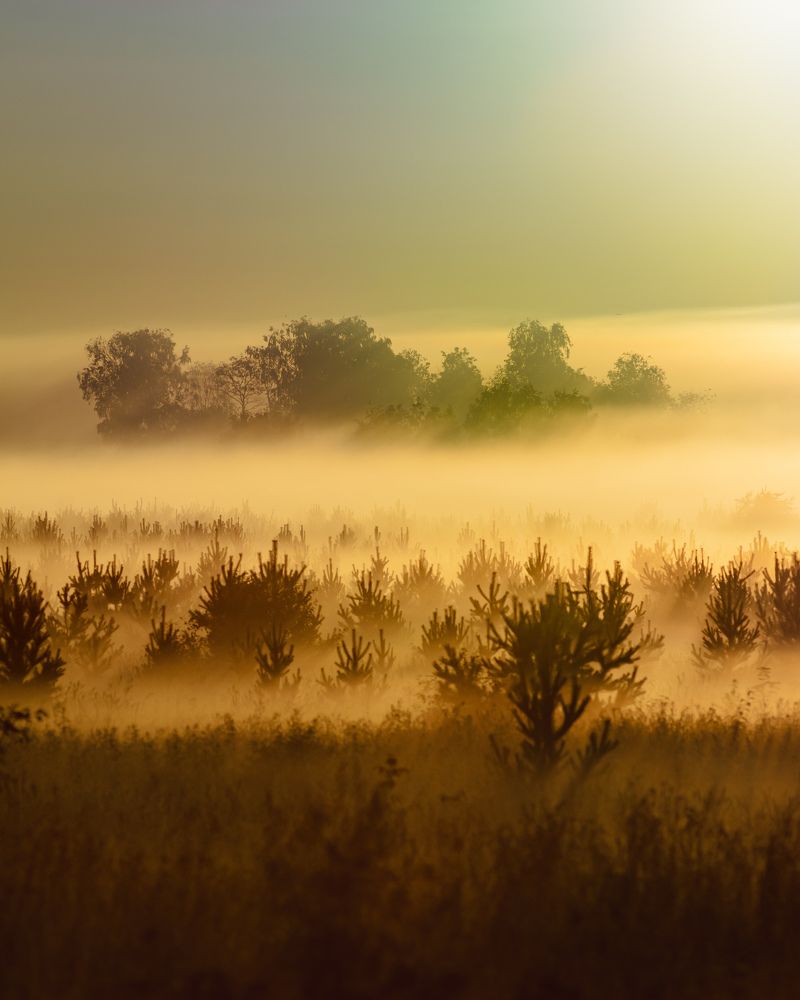 Photograph by Олег Бережных