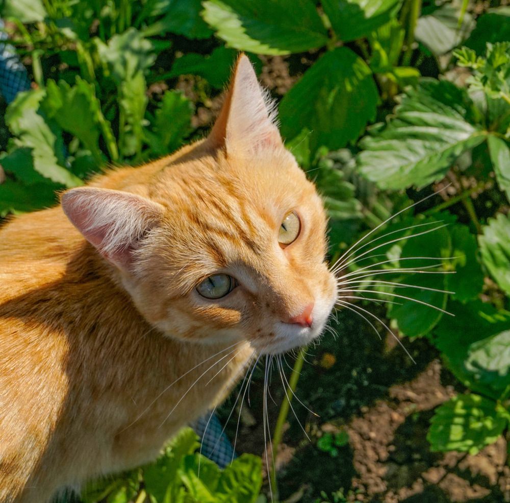 Photograph by Nikita Ostarkov