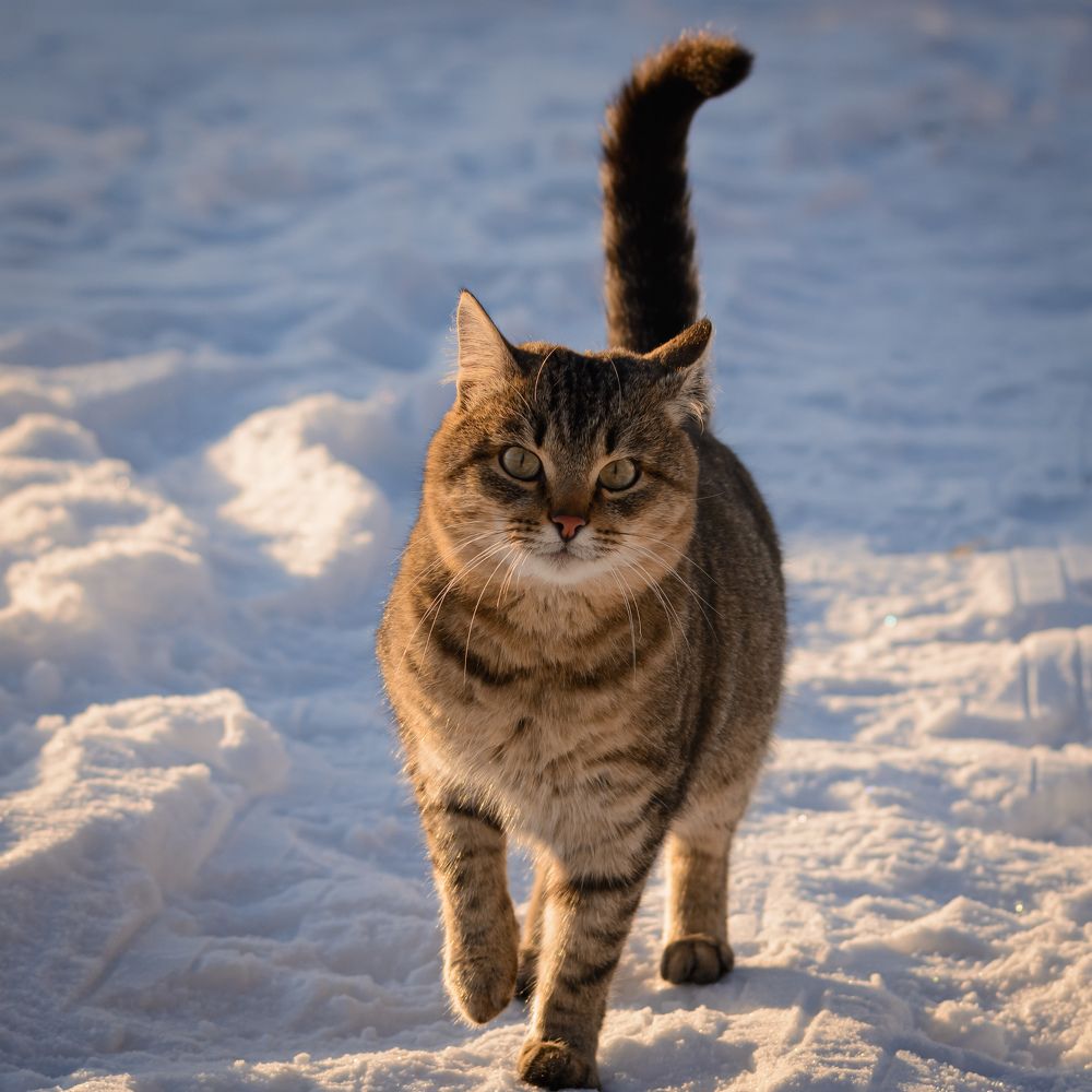 Photograph by Олег Бережных