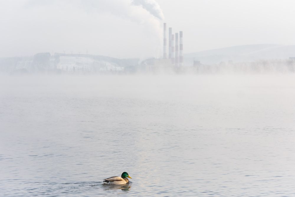 Photograph by Олег Бережных