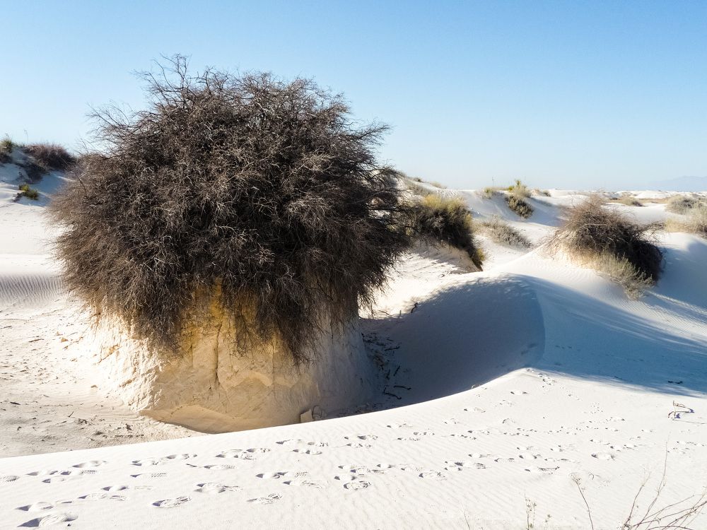 Photograph by Анатолий Костерев