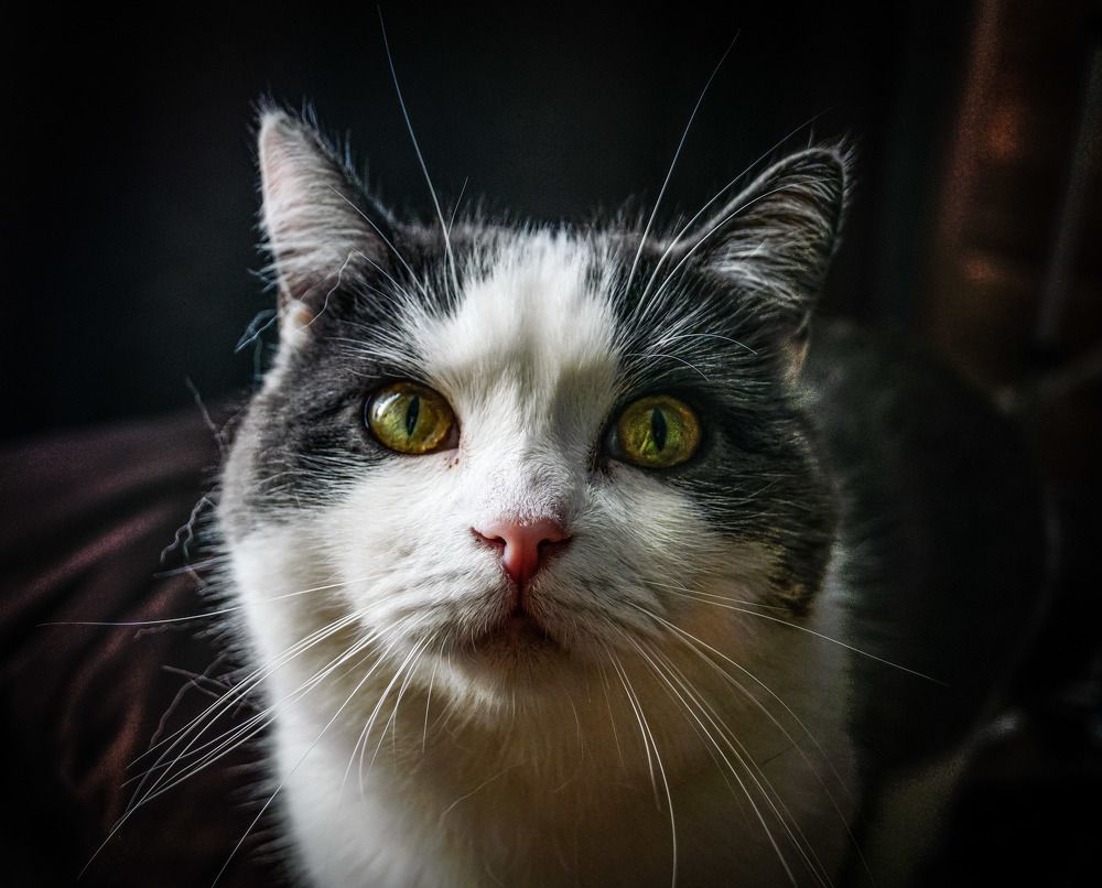 Photograph by Nikita Ostarkov