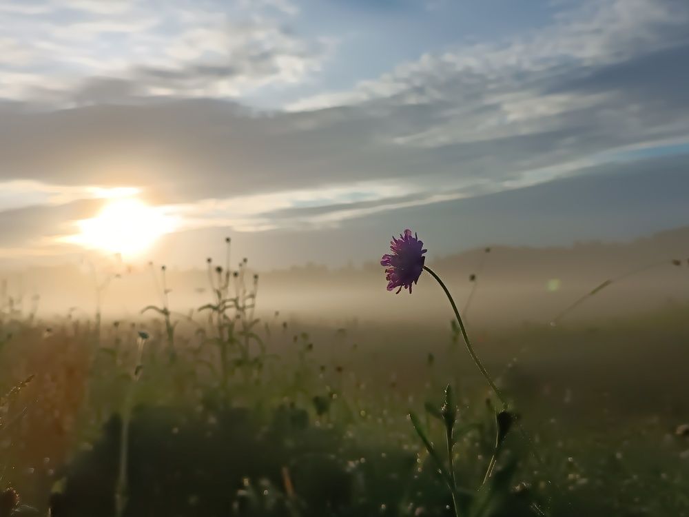 Photograph by Olga Kot