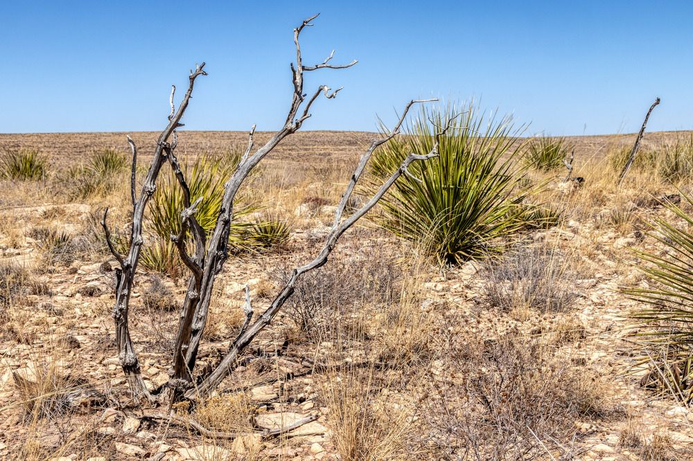 Photograph by Анатолий Костерев