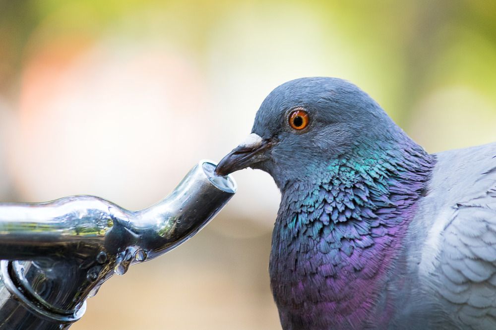 Photograph by Vania Tonova