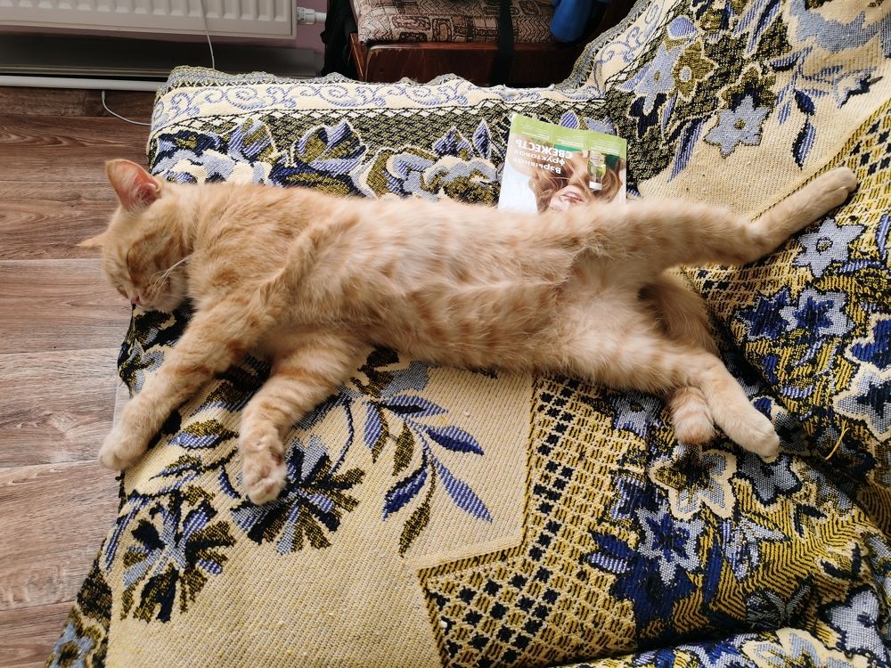 Photograph by Анастасия Мальцева