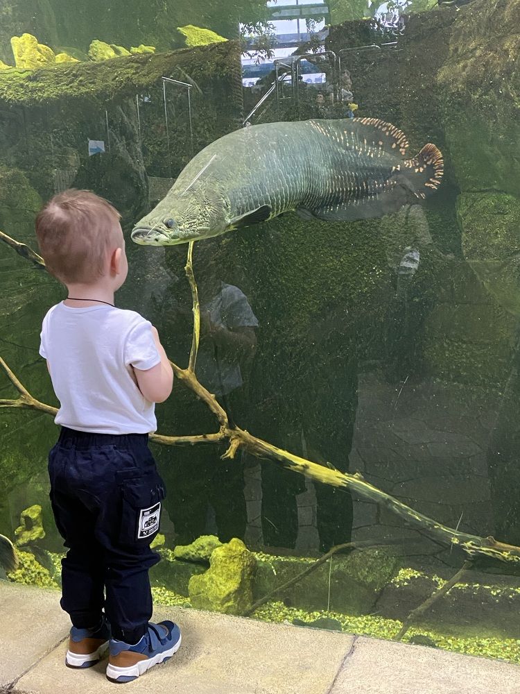 Давай дружить!