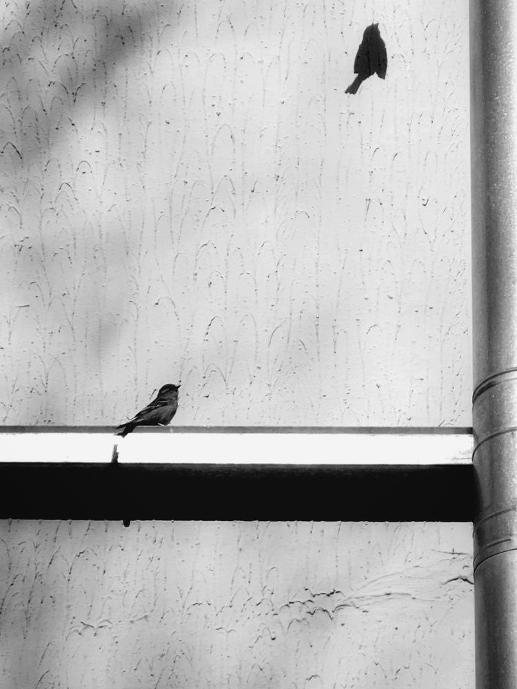 Photograph by Алина