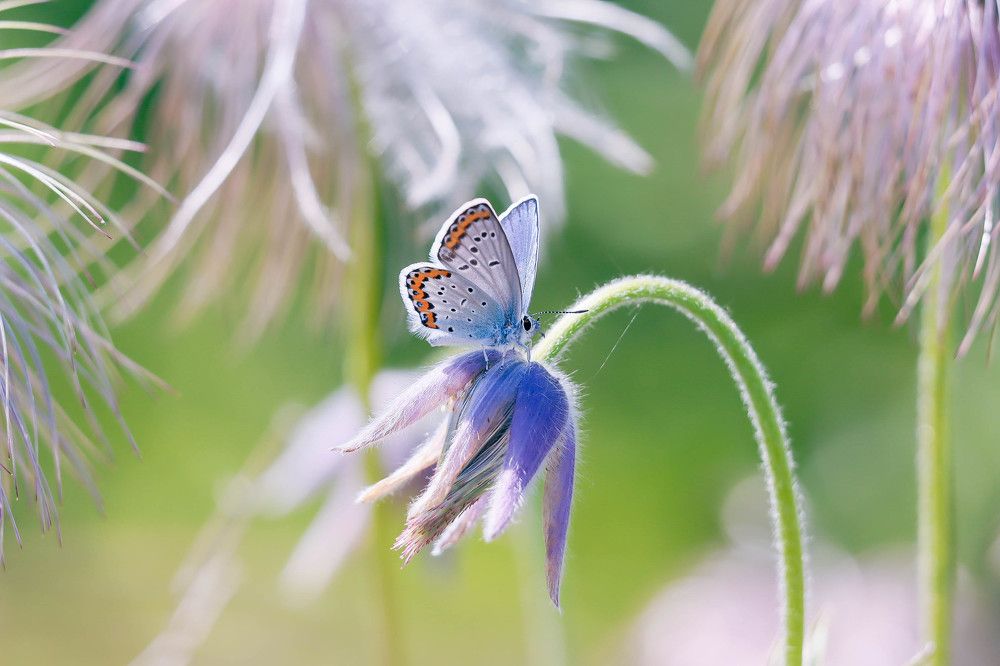 Photograph by Денис Гайдуков