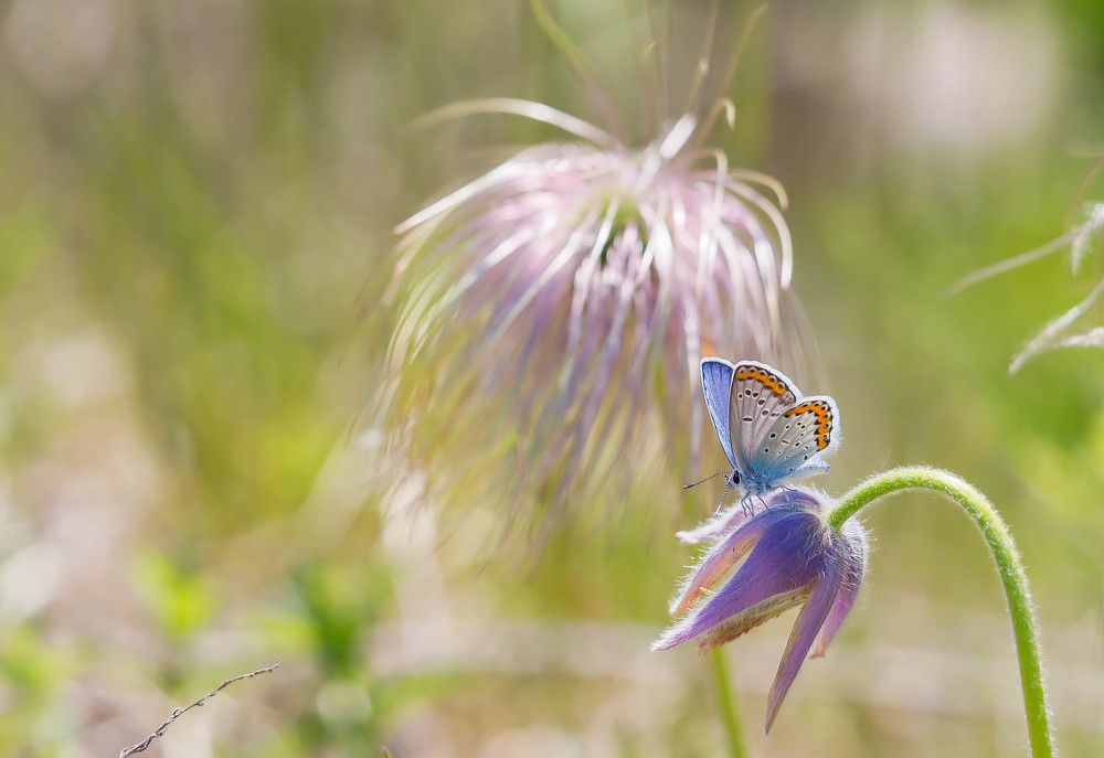 Photograph by Денис Гайдуков