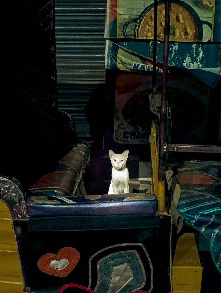 Photograph by Chaitanya joshi