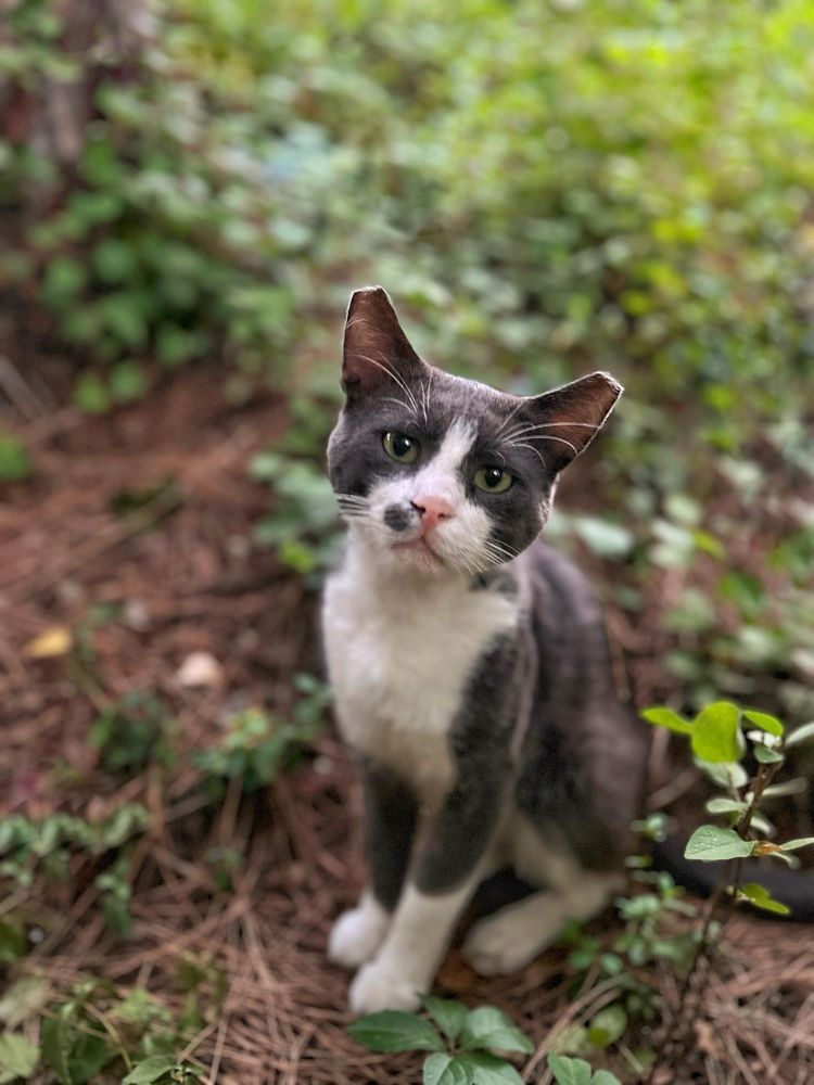 Photograph by Галина Шипухина