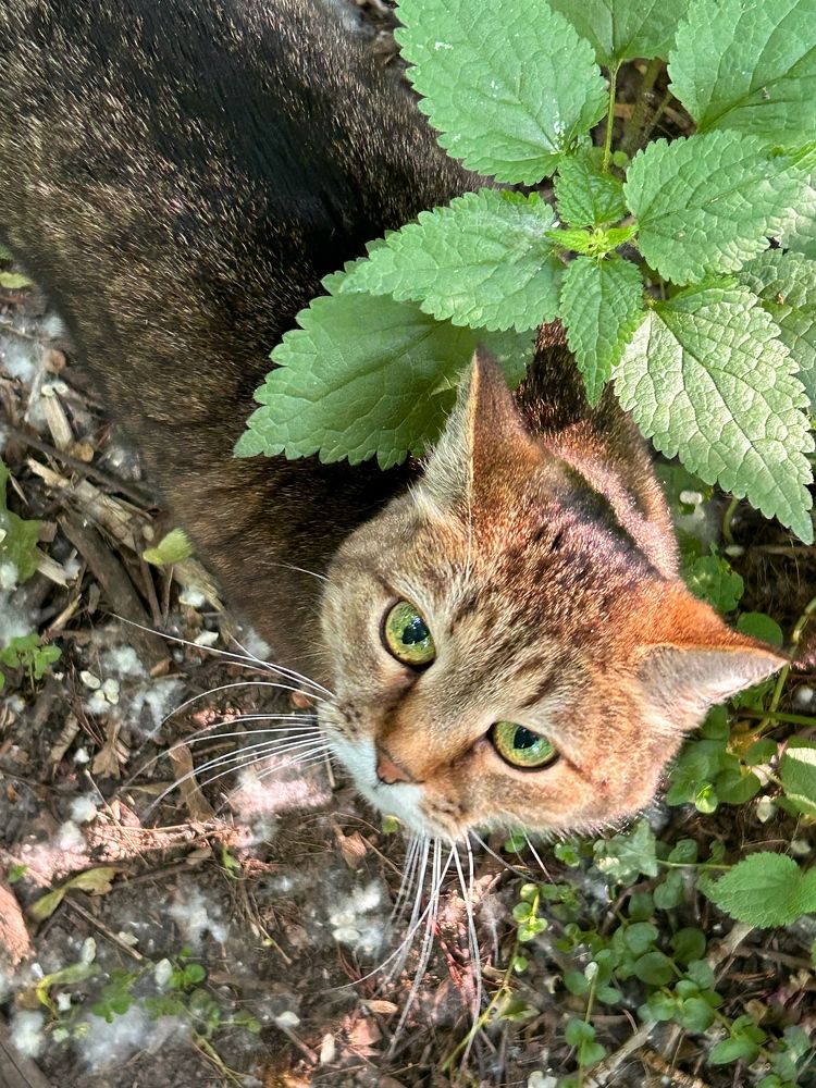 Photograph by Галина Шипухина