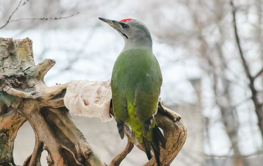 Photograph by Денис Гайдуков