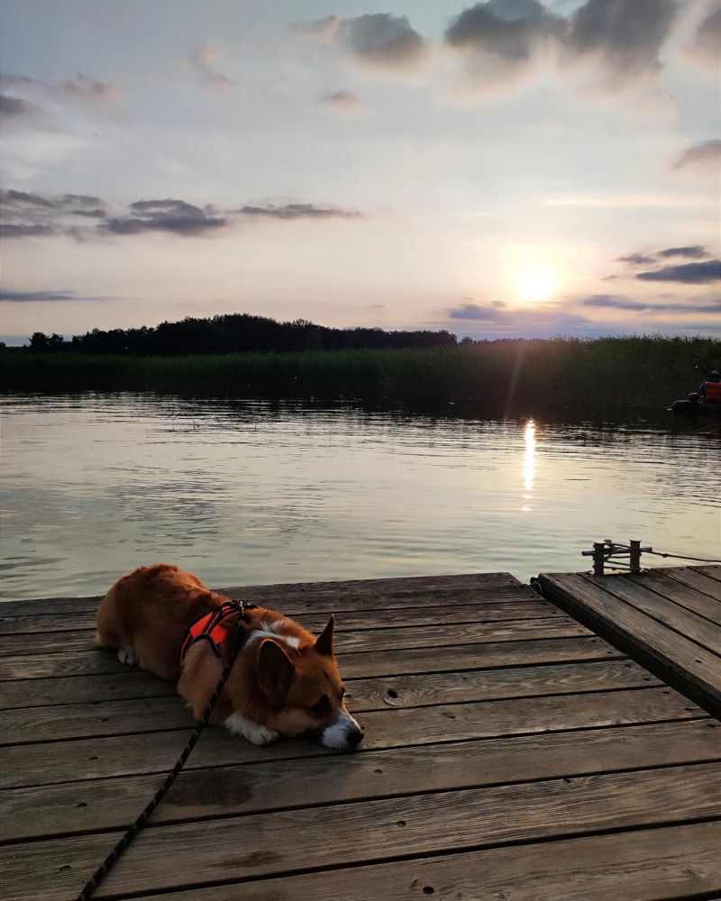 Photograph by Александр Костромин