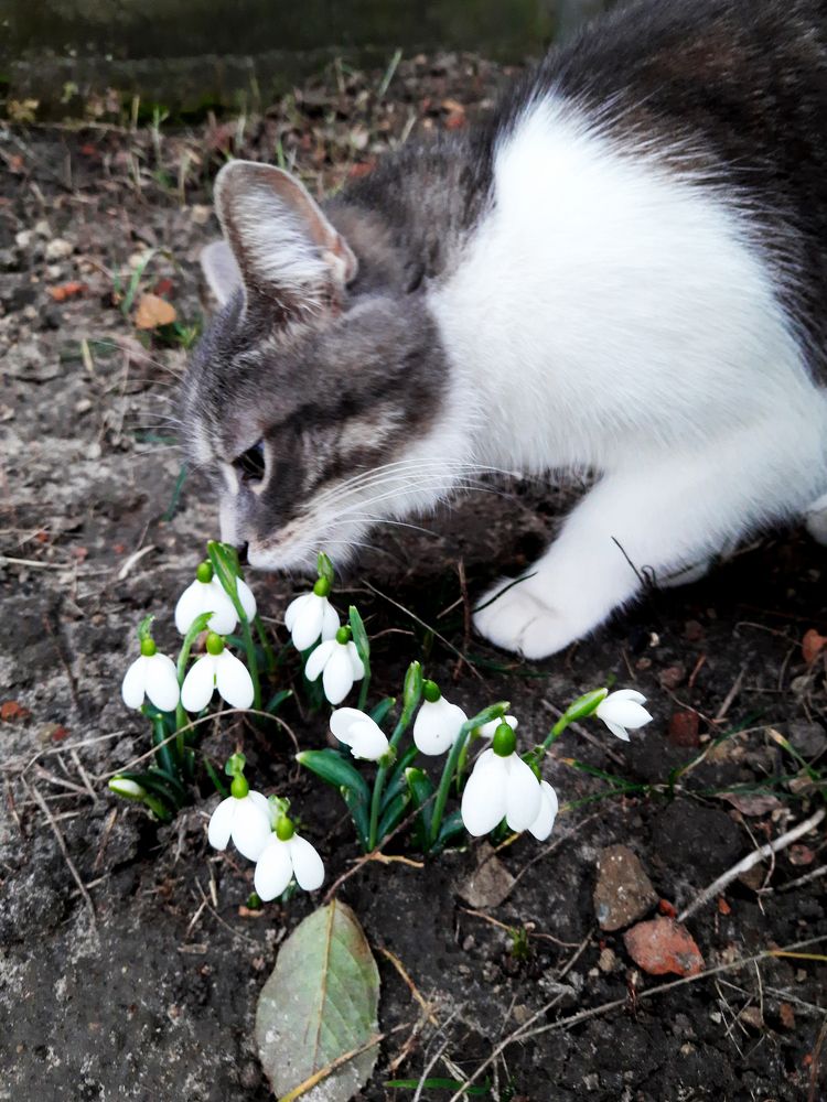 Photograph by Ekaterina