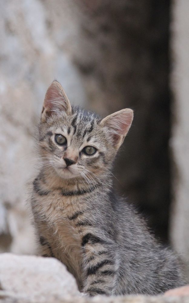 Photograph by Nadzeya