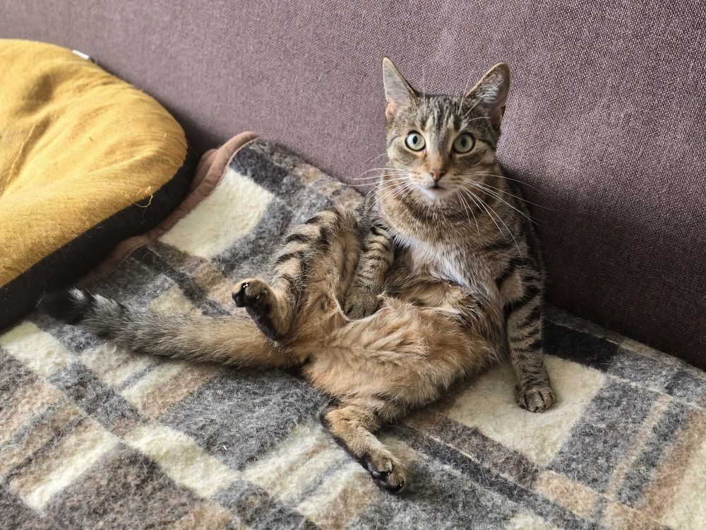 Photograph by Żółtowska Karolina