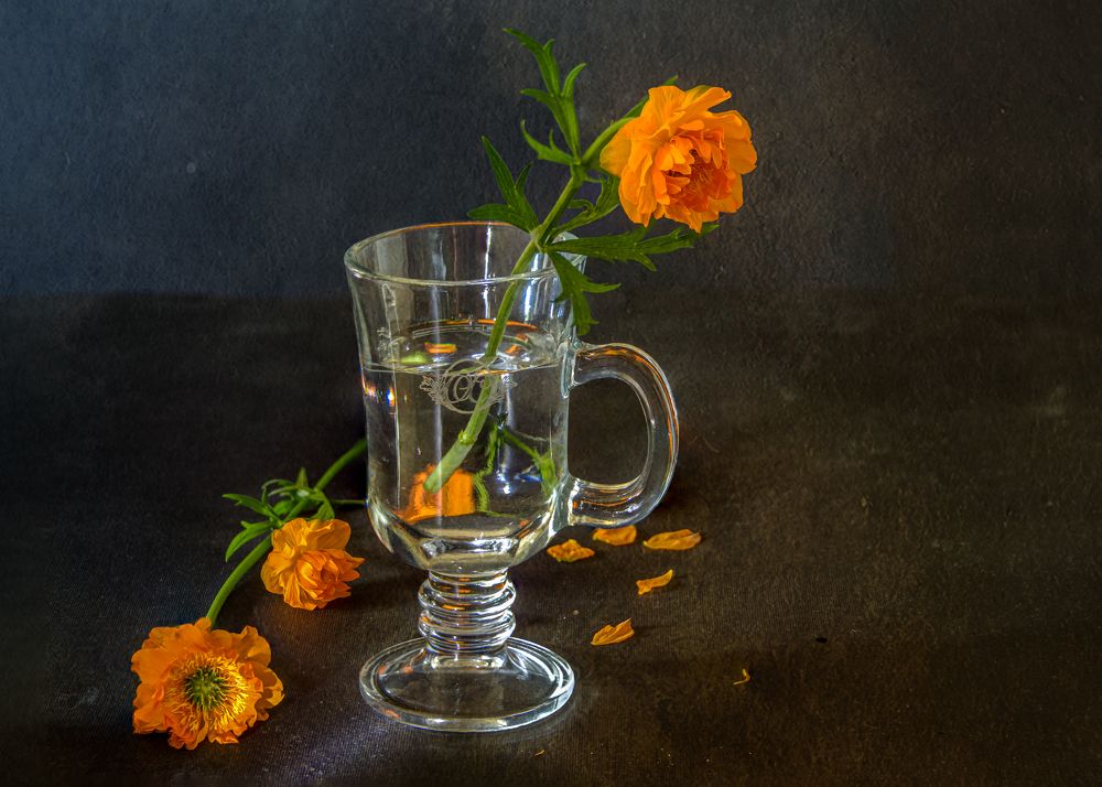 Photograph by Киселев Сергей