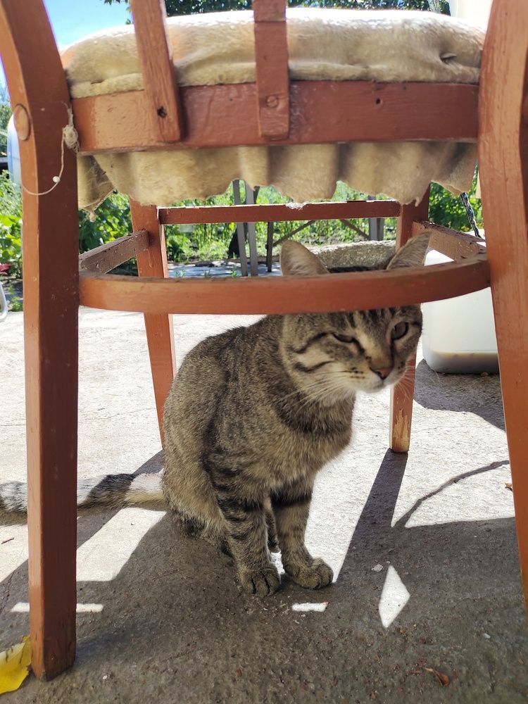 Photograph by Аркадий