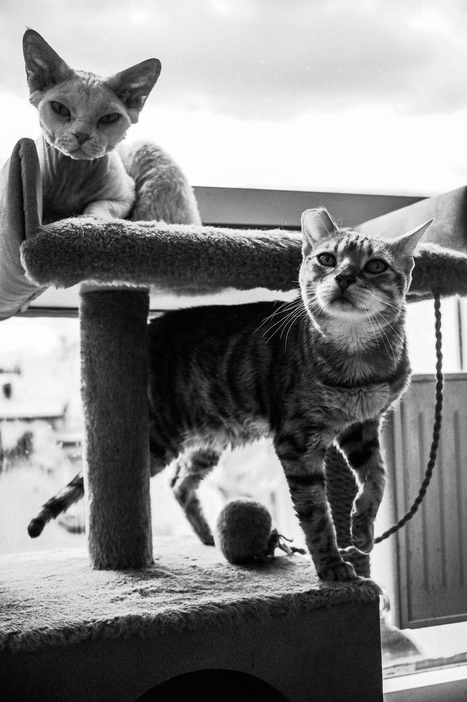 Photograph by Mitya