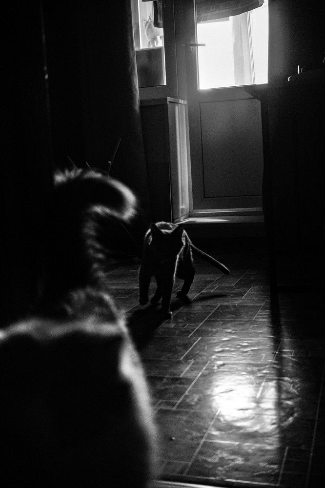 Photograph by Mitya