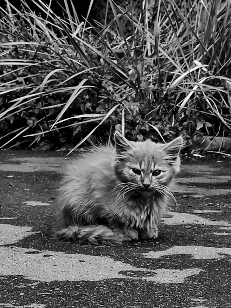 Photograph by Юлия Зинякова