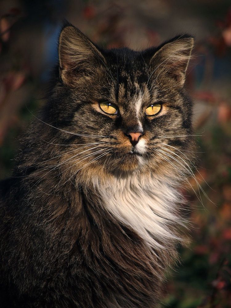 Photograph by Farid Ataei