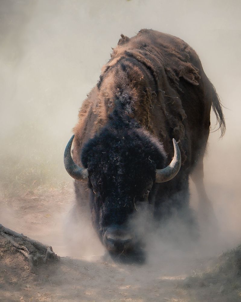 Photograph by Данил Шауба