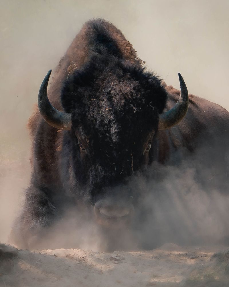 Photograph by Данил Шауба