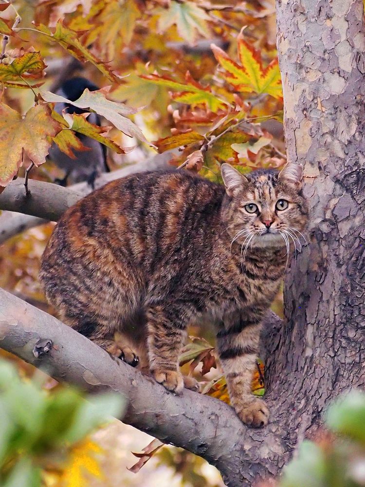 Photograph by Farid Ataei