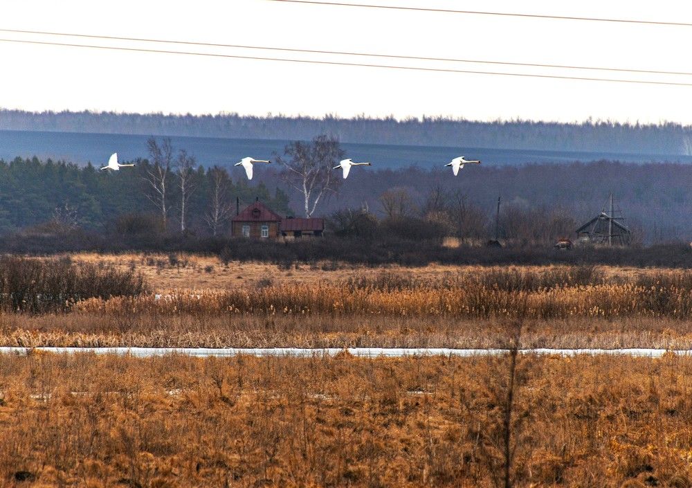 Photograph by Сиваков Алексей